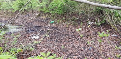 56531190 644710045982080 5849937841622089728 n